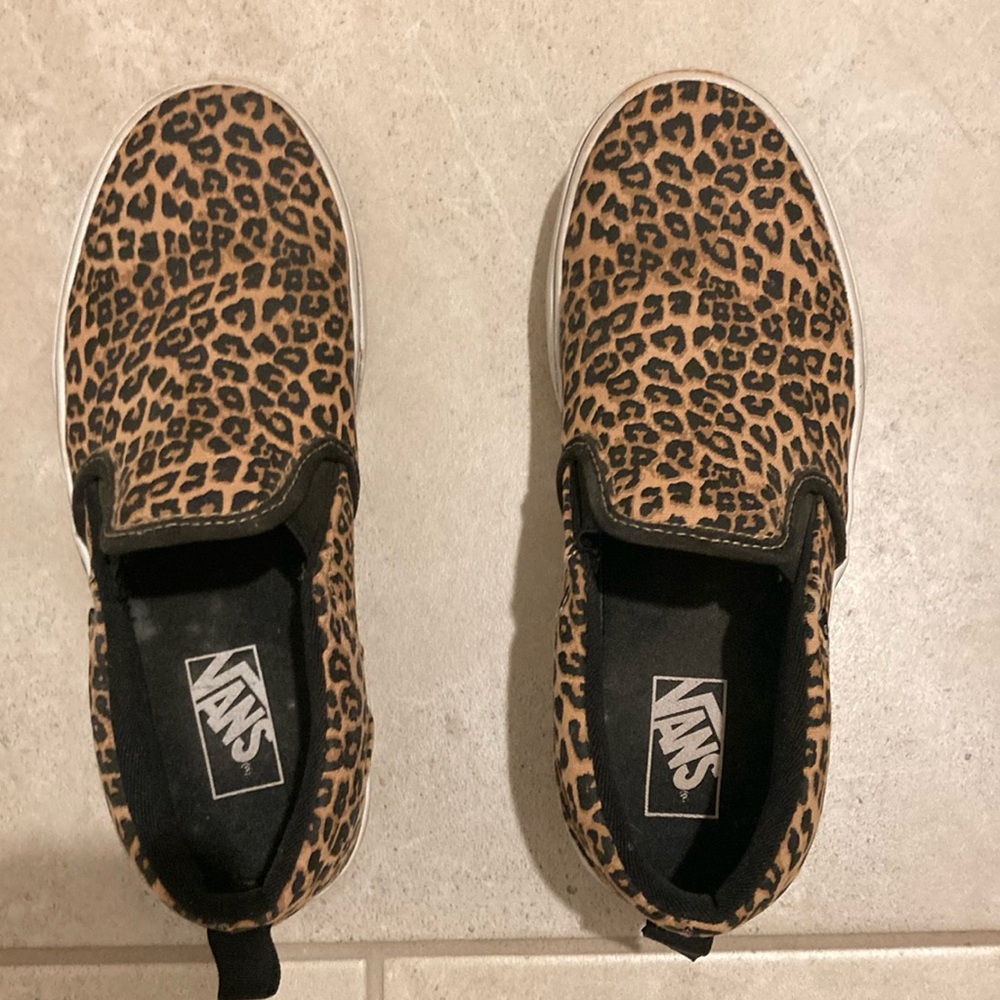 Cheetah vans in great condition